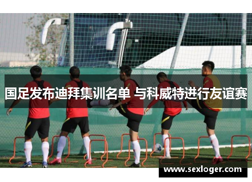 国足发布迪拜集训名单 与科威特进行友谊赛